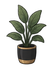 ダークな観葉植物